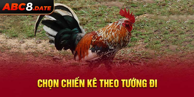 Chọn chiến kê theo tướng đi