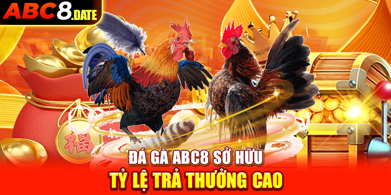 Đá gà ABC8 sở hữu tỷ lệ trả thưởng cao